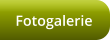 Fotogalerie